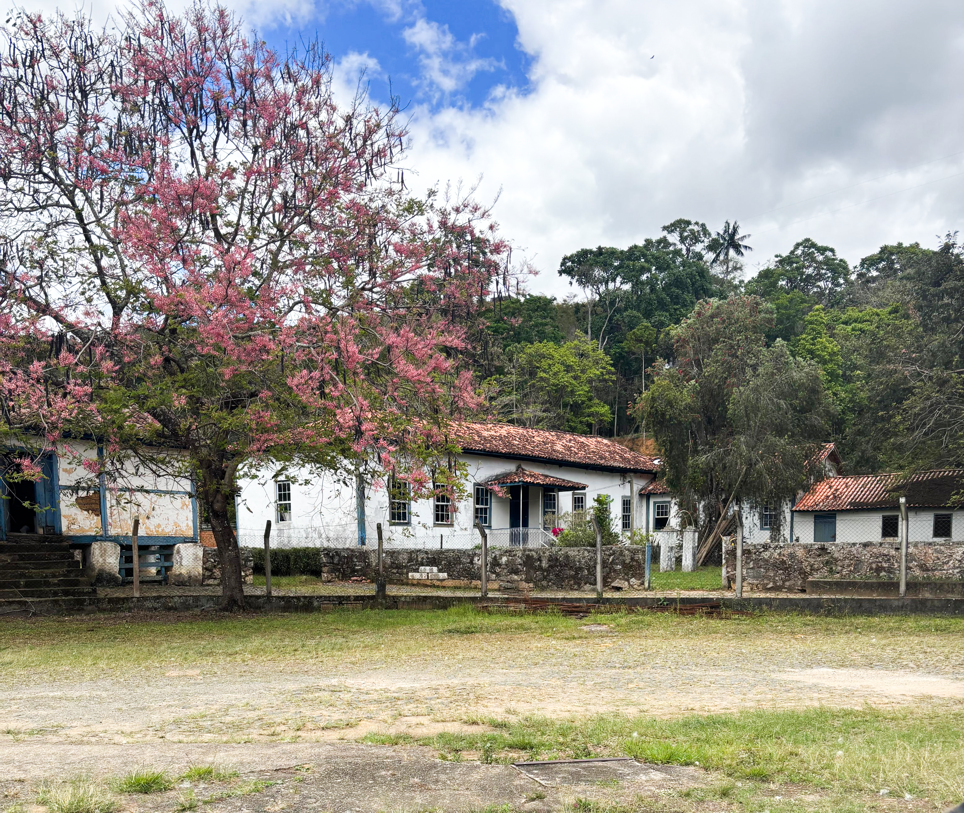 Fazenda Sierra — berço da Sélvia